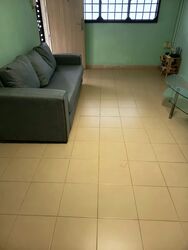 Blk 250 Bangkit Road (Bukit Panjang), HDB 3 Rooms #639462841